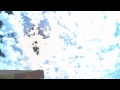 Snow Birds