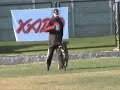 Bridgett v.d.Steinfluss. B-96. CACIT-2008