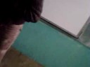 prohibido ver