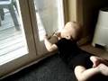 videos de Doggie Door Discovery