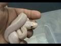 2008 clutch # 14 - part 3