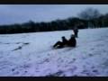 videos de Load of lads going down a snowy hill on a sled