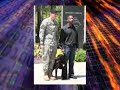 Military Working Dog Retires With Handler's Family