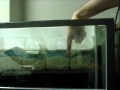 2_coolingChamberLevel.mov