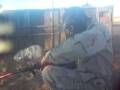 videos de Paintball - I Ain't Affraid.........