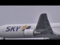 羽田空港 B767 強風でゴーアラウンド(着陸のやり直し) (B767 go-around)