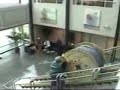 Giant Wire Spool Accident - Funny Videos, Funny Video Clips, Funny Movies, Viral Videos.flv