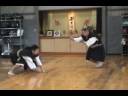 Shorinji Kempo Embu demonstration semprevivo