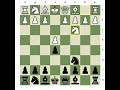 Live Sessions; Alekhine's Block