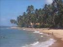 Praia do Forte - Costa dos Conqueiros - Bahia