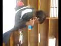 videos de TraMeeka at it AGAIN!