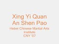 Xing Yi Quan An Shen Pao 形意拳 安身炮