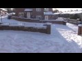 Fresh Footsteps