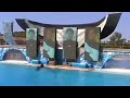 Sea World - Believe Pt.1 Sea World - Believe Pt.1