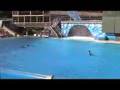 Sea World - Believe Pt.1