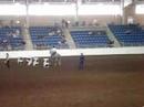 Wind Rider Challenge - Harrisburg Horse Expo Wind Rider Challenge - Harrisburg Horse Expo