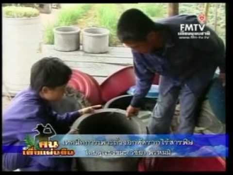 การเพาะถั่วงอก - ขอบคุณข้อมูลจากโทรทัศน์เพื่อมนุษยชาติ หรือ FM.TV.