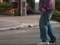 Skaters principiantes en backside y la jusein