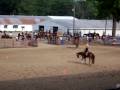 videos de Jessie's Lil Chip video 1