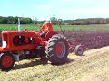 Allis Chalmers WD45 plowing demo