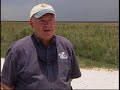 The Florida Everglades