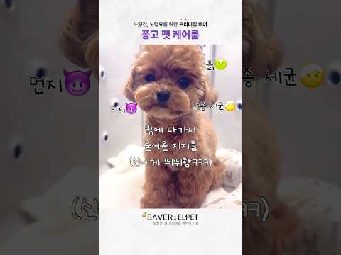 산책 후 묻은 흙, 먼지, 세균들 싹~