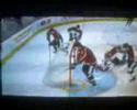 Nhl Lol Bug Nhl Lol Bug