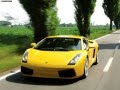 Gallardo