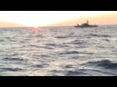byhttp://guerrillaradio.iobloggo.com/Tramonto di piombo (cartoline postali da Israele)Tramonti di piombocartoline postali mortalispedite da Israele ai pescatori di gaza.Affrancate di sionismo,bollano i guardiani dei diritti umani con francobolli di antisemitismo.Il portalettere in queste acque è corazzatoe rivestito d'odio,le caselle postali paiono più delle bare galeggianti.Non ho mai scorto tramonti più cremisidi questi al largo delle coste di Gaza.*Ci sono svariegate ragioni per cui usciamo a pescare coi palestinesi,alcuni visibilmente concrete e vitali, altre dai connotati simbolici, ma non meno essenziali.Una giornata al largo con noi, a detta dei pescatori equivale ad una settimana di ordinario lavoro,quando senza internazionali a bordo non si arrischiano a spingersi più di qualche miglia dal porto, dove il pescabile è miserevole,perchè se lo fanno sono morti, feriti quando va bene. leggi a proposito di questo:http://guerrillaradio.iobloggo.com/archive.php?eid=1739By Vik, italian blogger from Gaza siege:http://guerrillaradio.iobloggo.com/