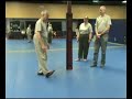 Classical Tai Chi Forum 16 - tai chi walking