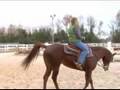 How to Ride a Horse at the Canter & Lope : How to Steer a Horse at a Canter