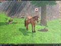 videos de Mabinogi Horse Fighting
