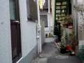 東向島遊郭変遷：戦前の玉の井と戦後の鳩の街