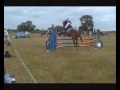 Blue cross show
