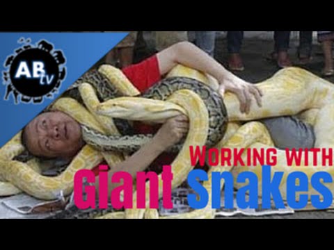 YouTube reptile video