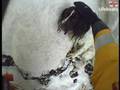 Poppy the spaniel puppy survives cliff fall - watch the video!