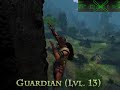 Age Of Conan: Guardian
