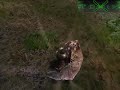 Age Of Conan: Guardian