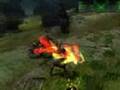 Age Of Conan: Guardian