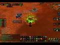 Me vs. Wurur (Screw around duel, IMO best druid on server.)
