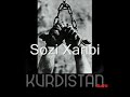 She3r O Honraway Kurdi 29