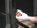 Record Guiness Rubik