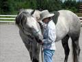 L ' Harmonie entre l ' Homme et le Cheval