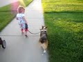 Emily 18 Months Walking Clover