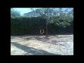 GIARDINAGGIO ESTREMO