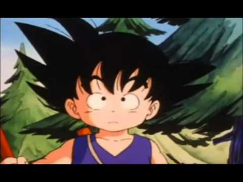 dragonball episode 1: Secret of the Dragon Balls