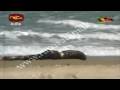 Troops Capture Chalai. Soosai injured. Wanni Operation 6 th February 2009