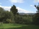 GREEN GREEN GRASS OF HOME - TOM JONES (SONG COUNTRY SIMON)