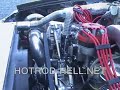 Turbo Mustang Idle And Walk-Around Turbo Mustang Idle And Walk-Around