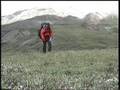 Denali Backpack